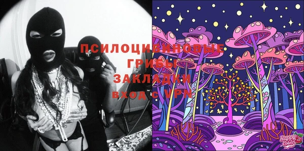 амф Великий Новгород