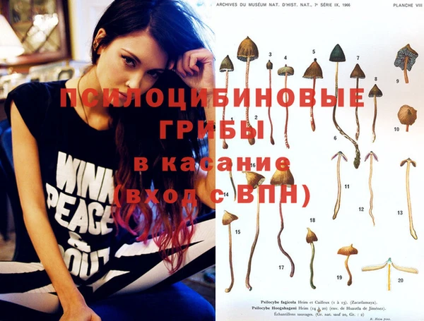 PSILOCYBIN Нязепетровск
