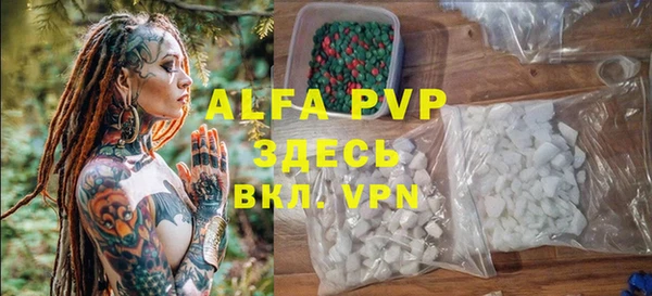 ГАЛЛЮЦИНОГЕННЫЕ ГРИБЫ Осинники
