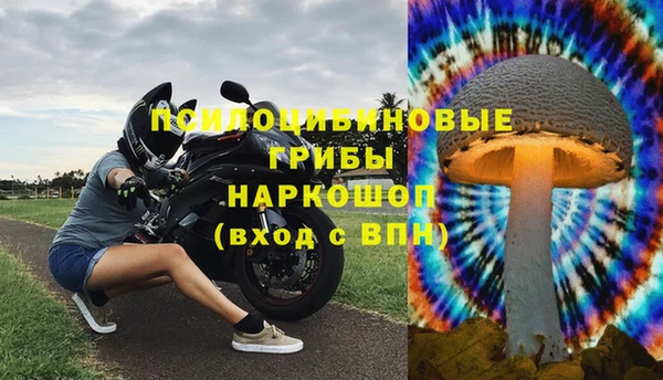 герыч Пионерский