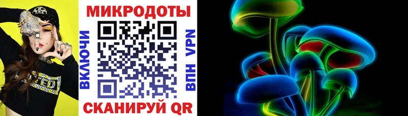 Галлюциногенные грибы Psilocybe  Пыталово 
